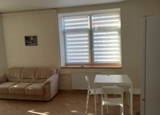 Продам 1-ком. квартиру, 49.5 м2, Санкт-Петербург, улица Турку, 13к1, улица Турку