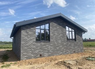 Продаю дом, 100 м2, деревня Беляницы, Луговая улица