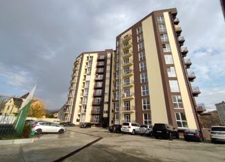 Квартира на продажу студия, 28.4 м2, село Орёл-Изумруд, Петрозаводская улица, 32к1