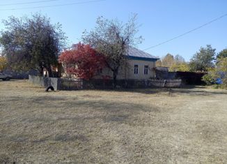 Дом на продажу, 55 м2, село Васильевка, Центральная улица, 1