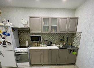 Продается квартира студия, 28 м2, Тольятти, улица Александра Кудашева, 108, Центральный район