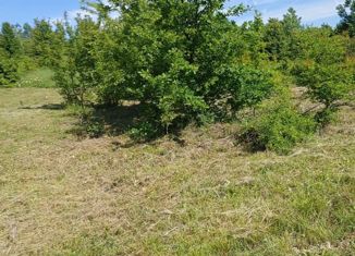 Продается участок, 10 сот., садовое товарищество Надежда, садовое товарищество Надежда, 154