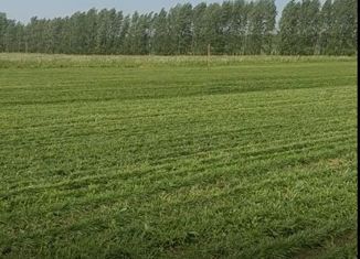 Участок на продажу, 600 сот., село Шаймуратово