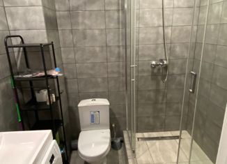 Сдача в аренду однокомнатной квартиры, 30.5 м2, Муром, 5-я Новослободская улица, 1