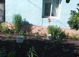 Продажа дома, 41.3 м2, село Берёзово, улица БСХК, 4