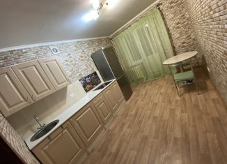 1-комнатная квартира на продажу, 47.4 м2, Самара, метро Спортивная, улица Гастелло, 42