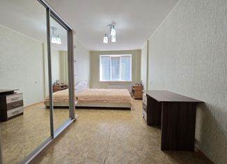 Продажа 1-комнатной квартиры, 31.2 м2, Саратовская область, улица Лопатина Гора, 12А