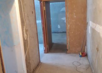 Продажа двухкомнатной квартиры, 44.3 м2, Санкт-Петербург, улица Антонова-Овсеенко, 13к1, муниципальный округ Невский