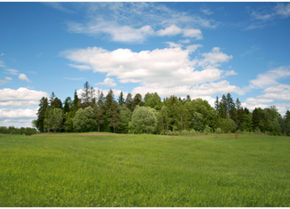 Продажа земельного участка, 10.73 сот., АОЗТ Лопухинка-2