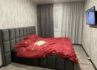 Продажа 2-ком. квартиры, 53 м2, поселок Вересовка, Заводская улица, 17