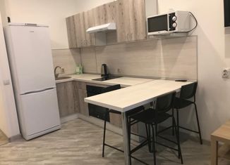 Сдача в аренду 1-ком. квартиры, 33 м2, Уфа, улица Энтузиастов, 15, ЖК Биосфера