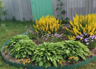 Дом на продажу, 60.9 м2, село Пановка, Молодёжная улица