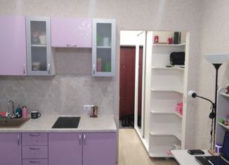 Продается квартира студия, 28 м2, село Михайловка, Новоуфимская улица, 15