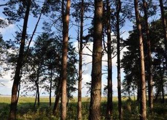 Продам участок, 18 сот., деревня Подлипье