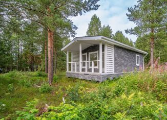 Продам дом, 50 м2, Архангельская область, СНТ Дорожник, 12