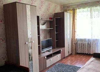 Продается 1-ком. квартира, 30 м2, Тихвин, 4-й микрорайон, 26