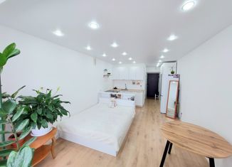 Продается квартира студия, 30 м2, село Михайловка, Сливовая улица, 10