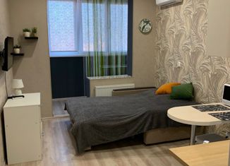 Продается квартира студия, 25.3 м2, Краснодар, улица им. Героя Сарабеева В.И., 5к5, микрорайон Панорама