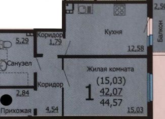 1-комнатная квартира на продажу, 42.2 м2, Екатеринбург, улица Евгения Савкова, 58, улица Евгения Савкова