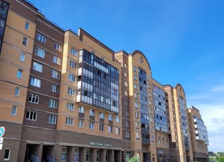 Однокомнатная квартира на продажу, 40 м2, Санкт-Петербург, улица Шкапина, 9-11, муниципальный округ Екатерингофский