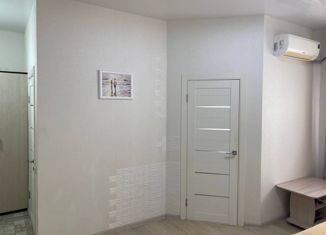 Сдам 1-комнатную квартиру, 30 м2, село Весёлое, улица Мира, 98А