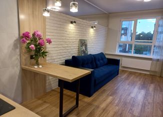 Продажа квартиры студии, 26.5 м2, рабочий посёлок Лопатино, Сухановская улица, 18