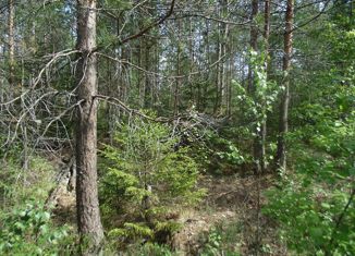 Продам земельный участок, 20 сот., СНТ Витязь