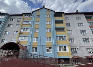 Продаю 2-комнатную квартиру, 60 м2, Нижегородская область, улица Победы, 24к1