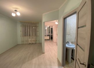 1-комнатная квартира на продажу, 28.3 м2, Михайловск, улица Михаила Калашникова, 43