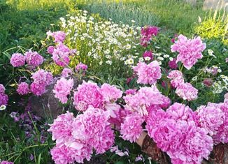 Участок на продажу, 18.3 сот., село Новокубово, Школьная улица