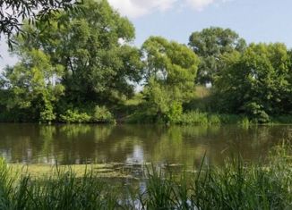 Продам участок, 25 сот., деревня Кулики