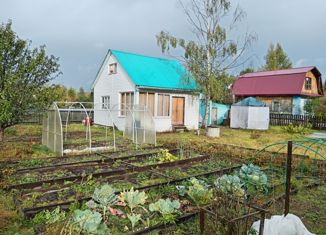 Продаю дом, 60 м2, СДТ Лесная Поляна, Весенняя улица