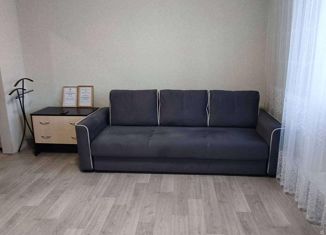 Продается квартира студия, 25.9 м2, Октябрьский, улица Клинова, 9