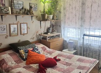 Продается 2-ком. квартира, 45.1 м2, Санкт-Петербург, улица Турку, 19к3, улица Турку