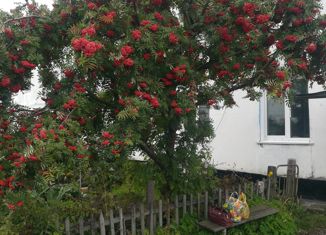 Продается 3-ком. квартира, 60 м2, село Боровиха, Кооперативная улица, 11