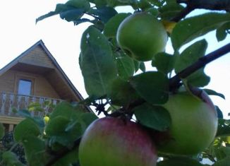 Дом на продажу, 35.2 м2, село Богословское, село Богословское, 7