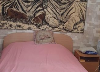 Продам дом, 118 м2, село Константиновка, Партизанская улица, 20