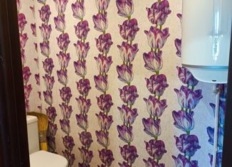 Продам 3-ком. квартиру, 83.3 м2, село Птичник, Советская улица, 94