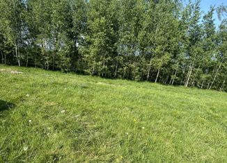 Земельный участок на продажу, 6.5 сот., деревня Чепелёво, 46К-2003