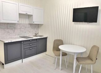 Квартира на продажу студия, 25 м2, село Засечное, Светлая улица, 15, ЖК Оригами