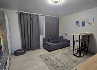 Продажа квартиры студии, 25 м2, Челябинск, Тракторозаводский район, 2-я Эльтонская улица, 50