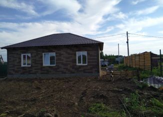 Продаю дом, 115 м2, село Виноградовка, улица Новосёлов, 6