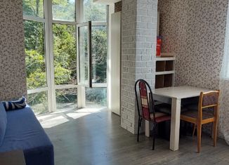 Квартира на продажу студия, 24 м2, село Краевско-Армянское, Измайловская улица, 59/6