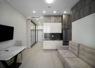 Сдаю квартиру студию, 25.1 м2, Москва, Ленинградский проспект, 34А, станция Белорусская