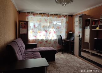 Продается двухкомнатная квартира, 42.3 м2, Омская область, Центральная улица, 9