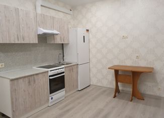 Квартира в аренду студия, 21 м2, городской посёлок Новоселье, Центральная улица, 10к1