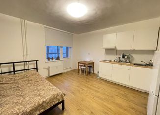 Продается квартира студия, 24.9 м2, Мурино, Екатерининская улица, 6к1, ЖК Виктория