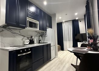 Продажа квартиры студии, 25.4 м2, Москва, Суворовская улица, 19с4, Суворовская улица