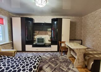 Сдается 1-комнатная квартира, 31 м2, Борисоглебск, Бланская улица, 45