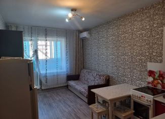 Сдаю квартиру студию, 22 м2, Республика Алтай, Заринская улица, 33